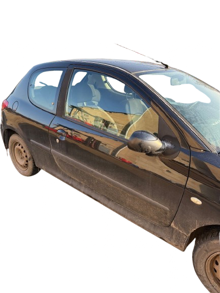 Díly Peugeot 206+